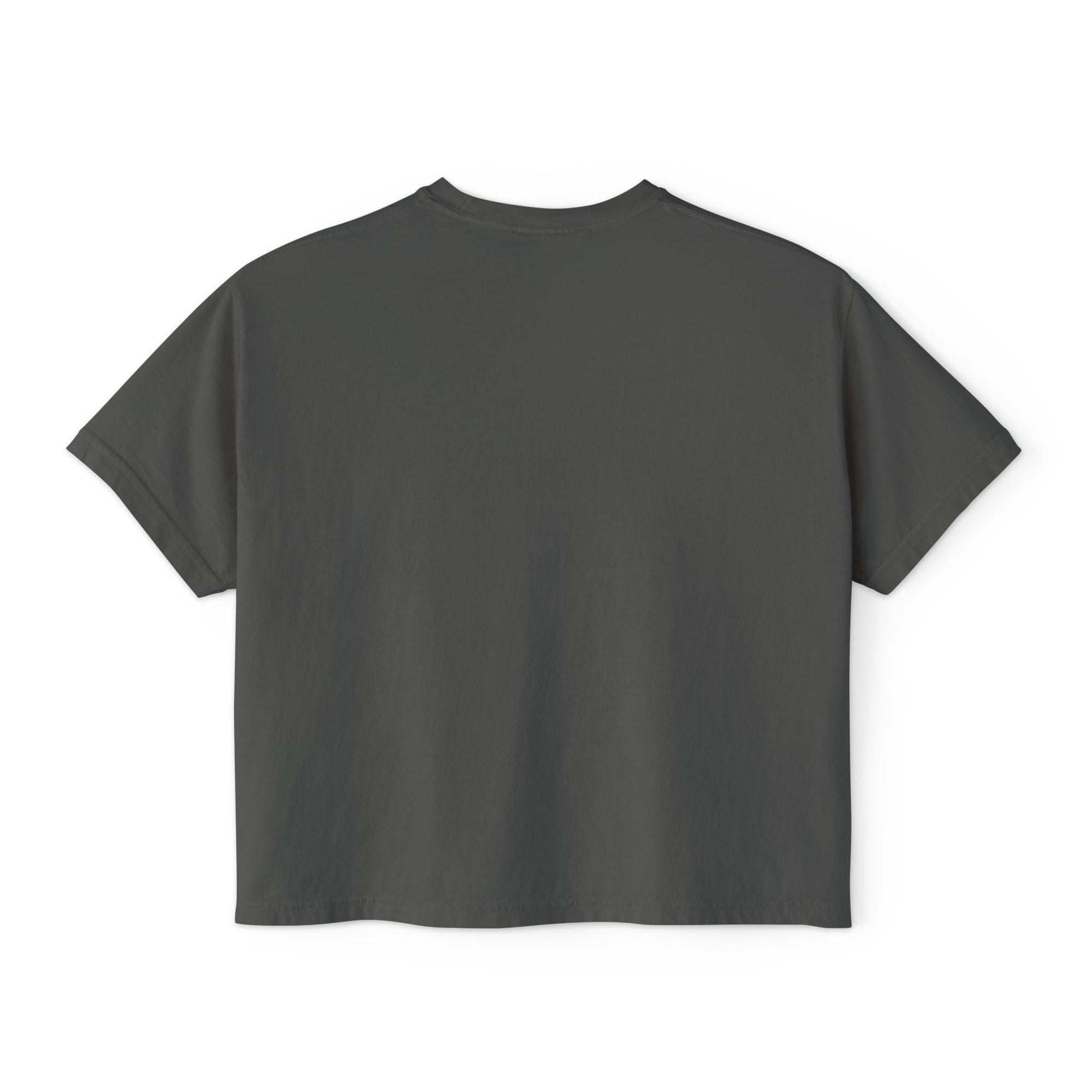 Nash American Flag Cropped Gray T Shirt