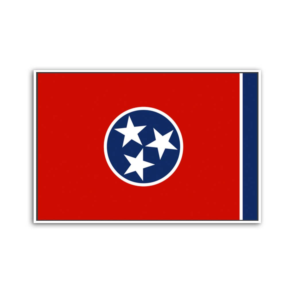 Tennessee Canvas Flag Art Print - Canvas White Frame