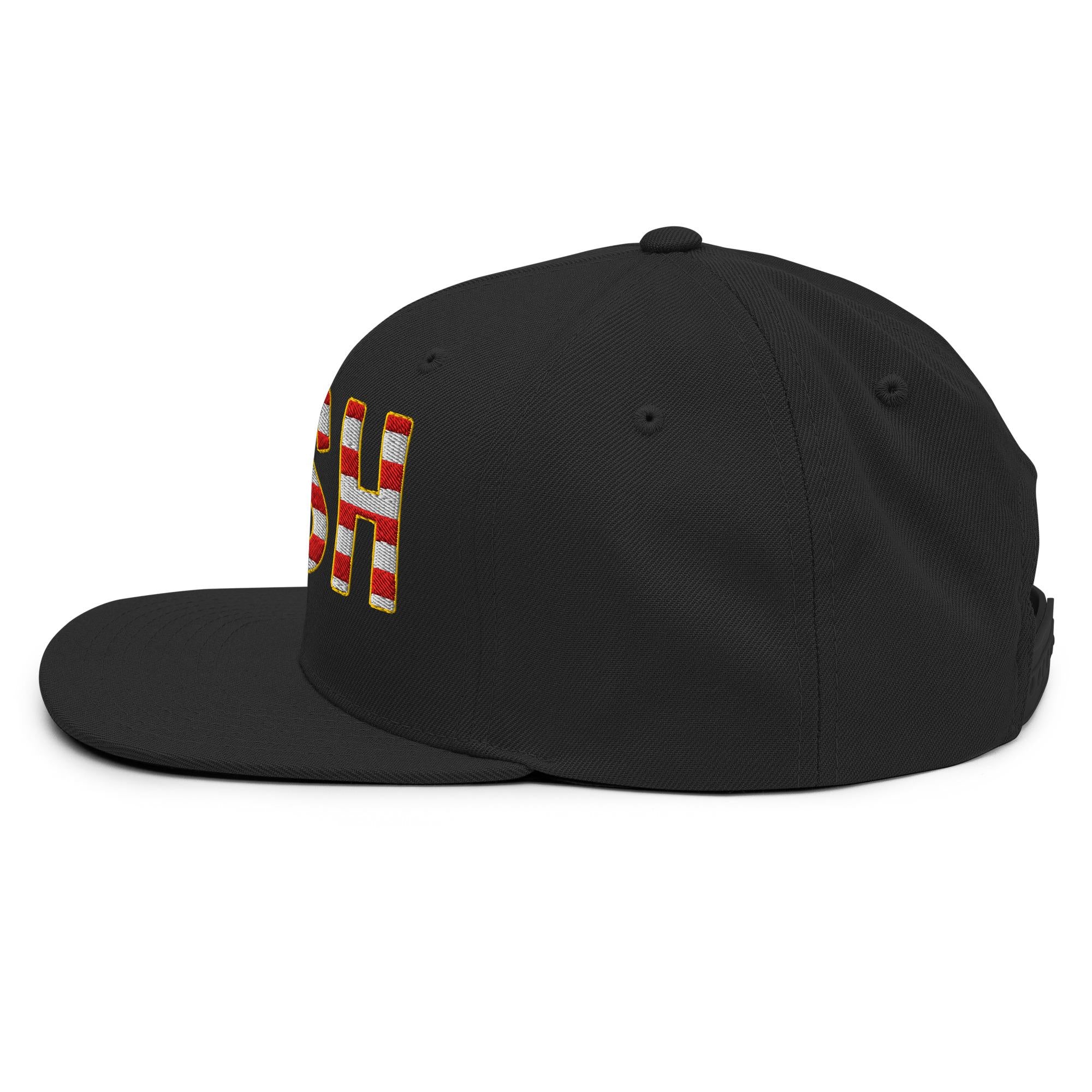 Nash American Flag Snapback Hat